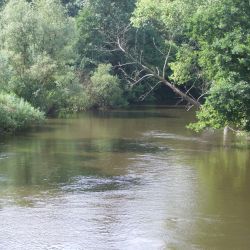 2011.08.09 DRWECA  Młyniec - Złotoria kajaki (39)