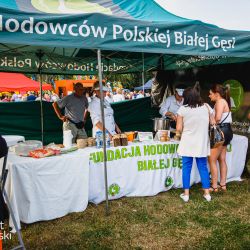 2022-08-20 Powiatowo - Gminne Dożynki (219)