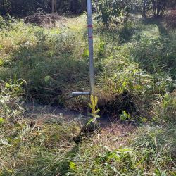 Sadzimy tlen - Osiek nad Wisłą (9)