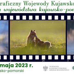 Plakat Przyroda województwa kujawsko-pomorskiego 2023_1