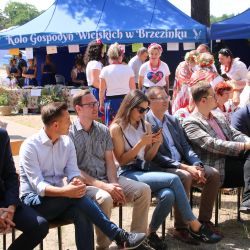 2023-06-24 Powiatowo-Gminny Festiwal Smaku i Zjazd KGW (17)