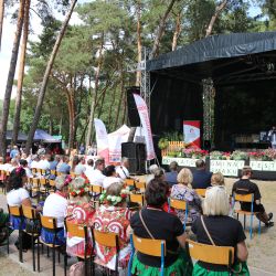 2023-06-24 Powiatowo-Gminny Festiwal Smaku i Zjazd KGW (36)