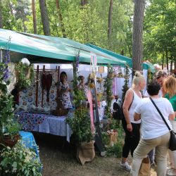 2023-06-24 Powiatowo-Gminny Festiwal Smaku i Zjazd KGW (80)