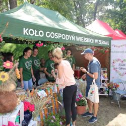 2023-06-24 Powiatowo-Gminny Festiwal Smaku i Zjazd KGW (91)