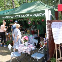 2023-06-24 Powiatowo-Gminny Festiwal Smaku i Zjazd KGW (93)