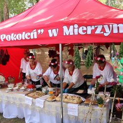 2023-06-24 Powiatowo-Gminny Festiwal Smaku i Zjazd KGW (96)