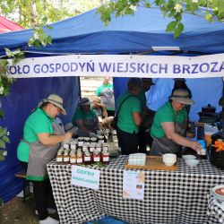 2023-06-24 Powiatowo-Gminny Festiwal Smaku i Zjazd KGW (100)