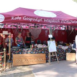 2023-06-24 Powiatowo-Gminny Festiwal Smaku i Zjazd KGW (105)