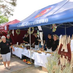 2023-06-24 Powiatowo-Gminny Festiwal Smaku i Zjazd KGW (115)
