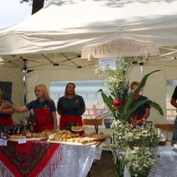 2023-06-24 Powiatowo-Gminny Festiwal Smaku i Zjazd KGW (116)