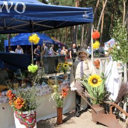 2023-06-24 Powiatowo-Gminny Festiwal Smaku i Zjazd KGW (120)