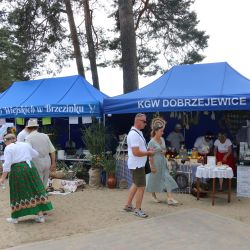 2023-06-24 Powiatowo-Gminny Festiwal Smaku i Zjazd KGW (130)