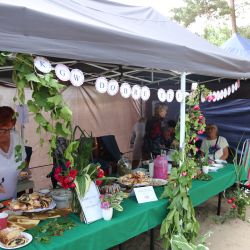 2023-06-24 Powiatowo-Gminny Festiwal Smaku i Zjazd KGW (135)