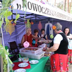 2023-06-24 Powiatowo-Gminny Festiwal Smaku i Zjazd KGW (137)
