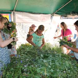 2023-06-24 Powiatowo-Gminny Festiwal Smaku i Zjazd KGW (142)