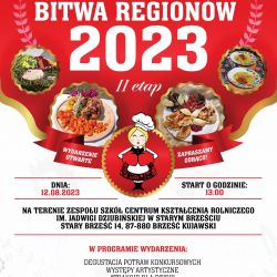 Bitwa Regionów