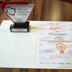 Statuetka i dyplom