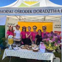 KGW Nowoczesne Gospochy