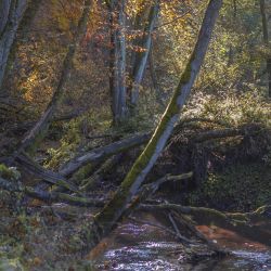Pachphoto (132)