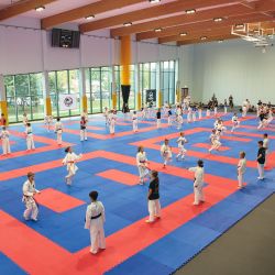 2024-08-31 Karate Gronowo 53
