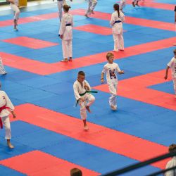 2024-08-31 Karate Gronowo 47