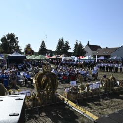 Dożynki Gminne Osiek nad Wisłą (10)