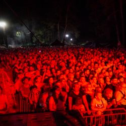 2024 09 08 Powiatowo-Gminne DożynkiKamionki Małe2 (124)