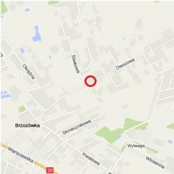 Brzozówka Owocowa