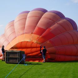 2024-09-22 Święto pieczonego ziemniaka w Głogowie (25)