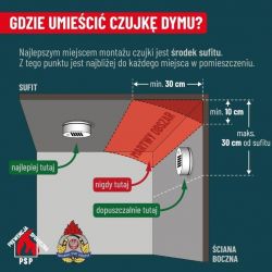 grafika czujka dymu (3)