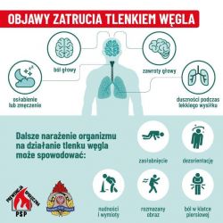 grafika czujka dymu (4)