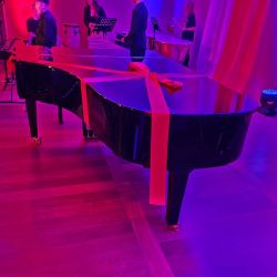 Koncert (7)