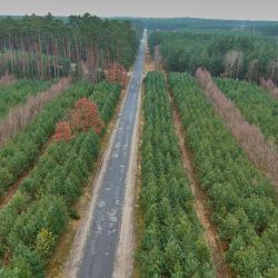 Czernikowo – Bobrowniki – Włocławek (2)