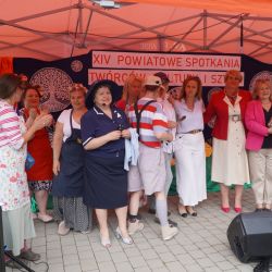 Spotkania twórców 41