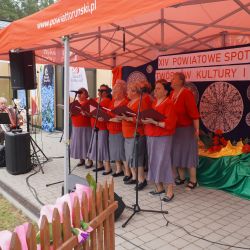 Spotkania twórców 65