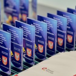 na zdjęciu widnieją statuetki wręczane sportowcom i trenerom
