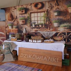 2025-08-31 Dożynki Wojewódzkie Myślecinek (12)
