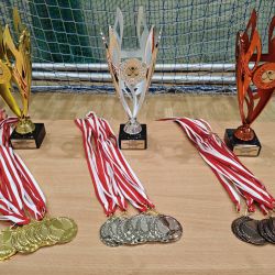 zdjęcie przedstawia puchary, które otrzymają najlepsze drużyny Mistrzostw Powiatu Toruńskiego w unihokeju