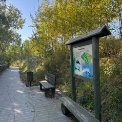 2025 Sciezka edukacyjna fot. UG Chełmża (3)