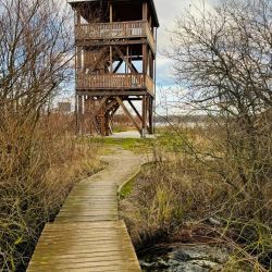 2025 Sciezka edukacyjna fot. UG Chełmża (7)