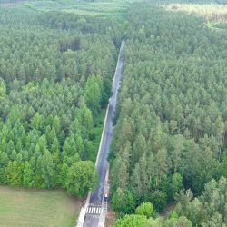 2025-06-05 Droga na Bobrowniki 42