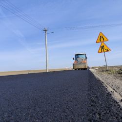 Droga Dziemiony - Zelgno..