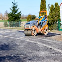 Droga Dziemiony - Zelgno 06