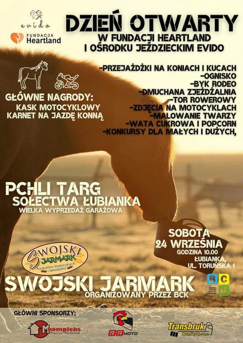 Pchli Targ sołectwa Łubianka