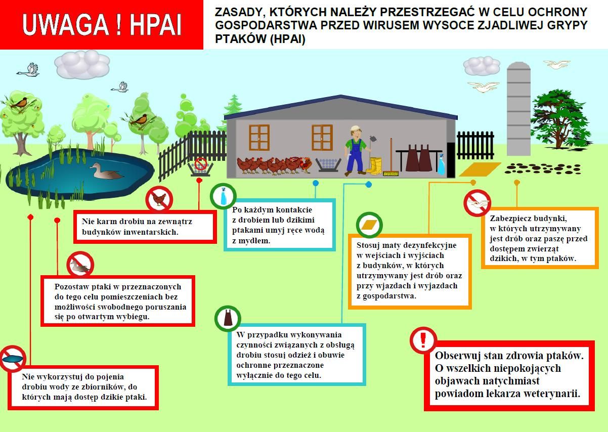 PTASIA GRYPA CORAZ BLIŻEJ !!!!!