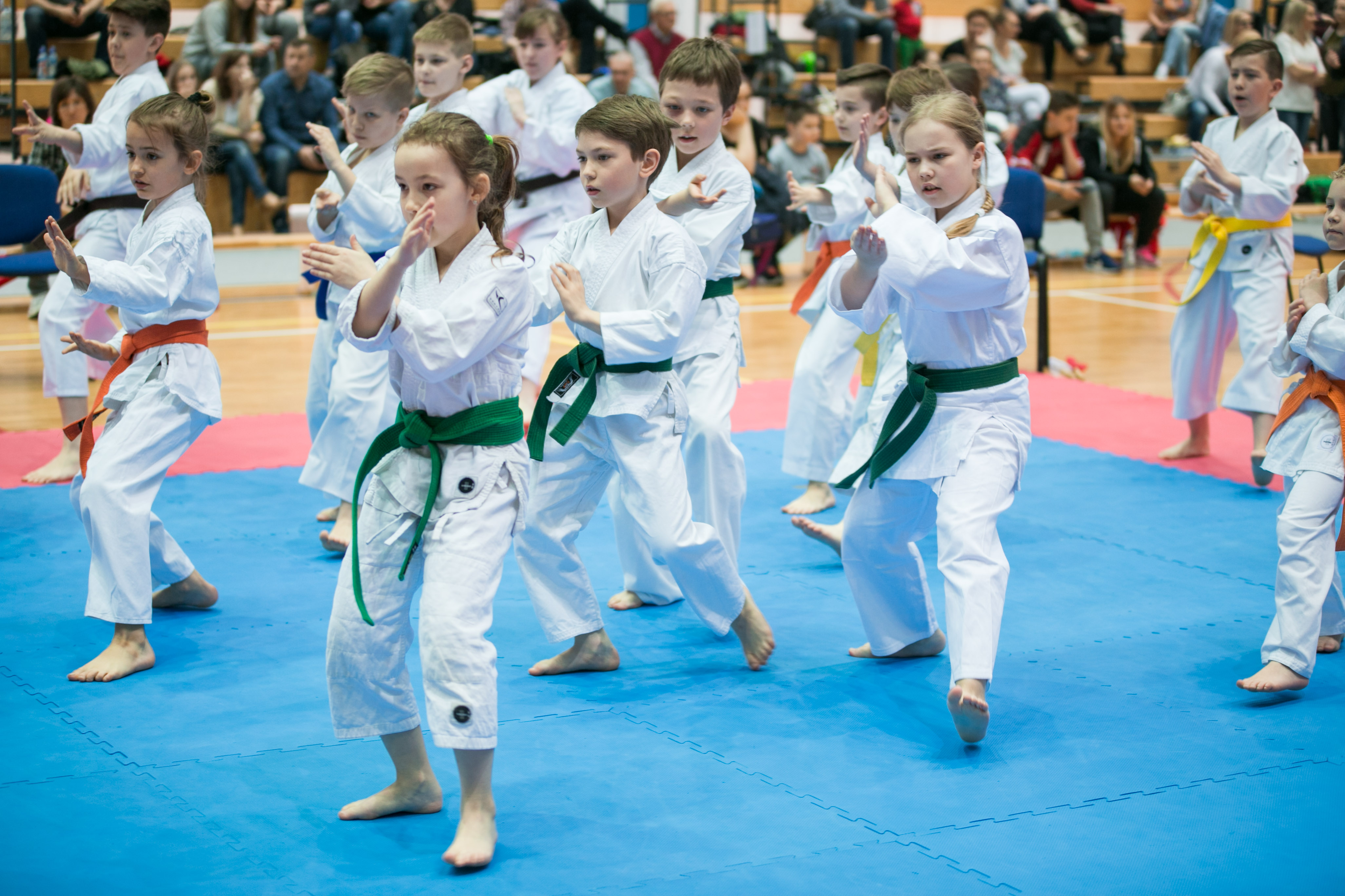 KUJAWSKO-POMORSKA LIGA KARATE TRADYCYJNEGO w sezonie 2016/2017