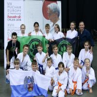 Mamy złotych medalistów w XVIII Ogólnopolskim Pucharze Dzieci w Tradycyjnym Karate-Do