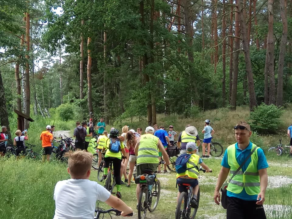 Przez łąki, pola i las….