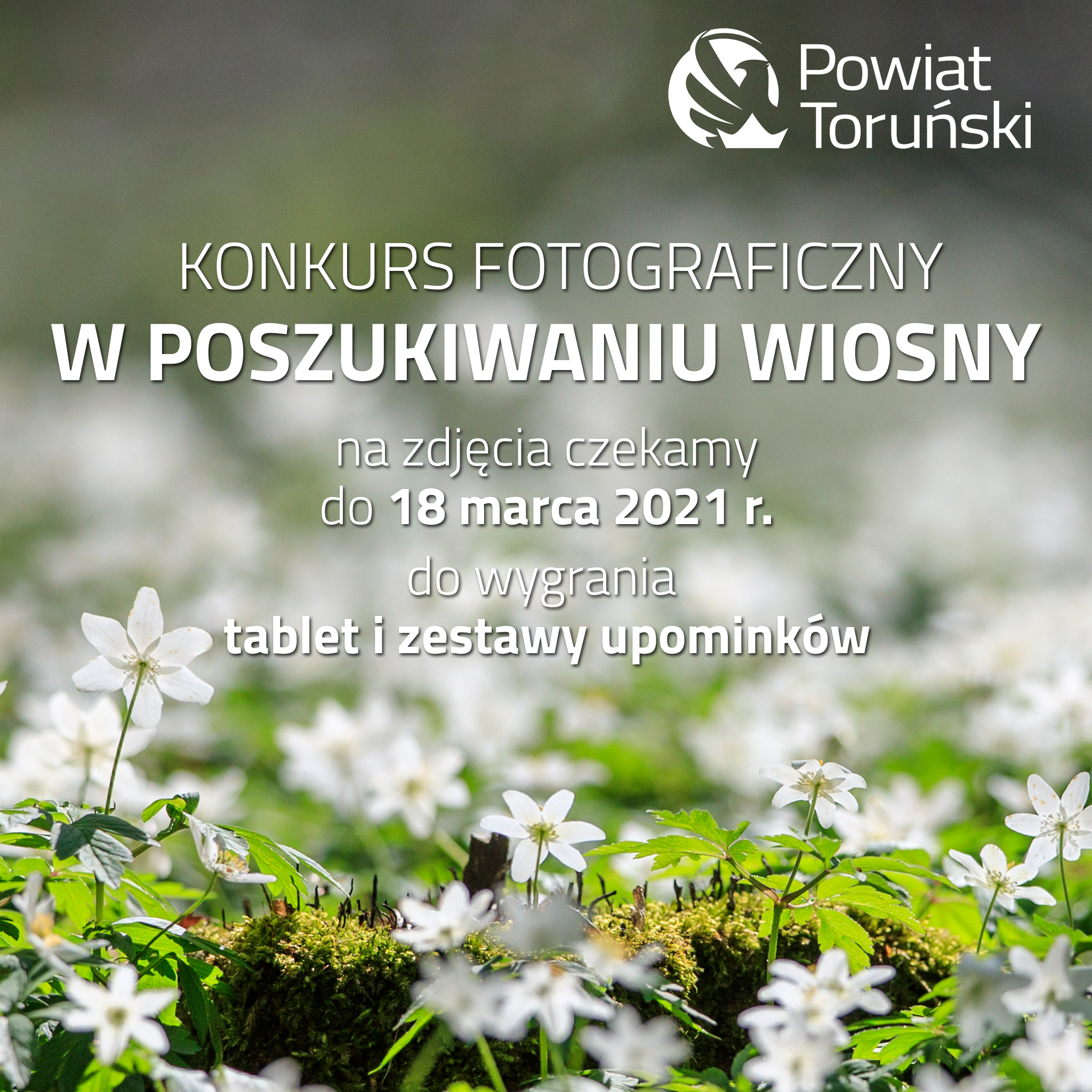 Rusza Konkursu fotograficzny „W poszukiwaniu wiosny”