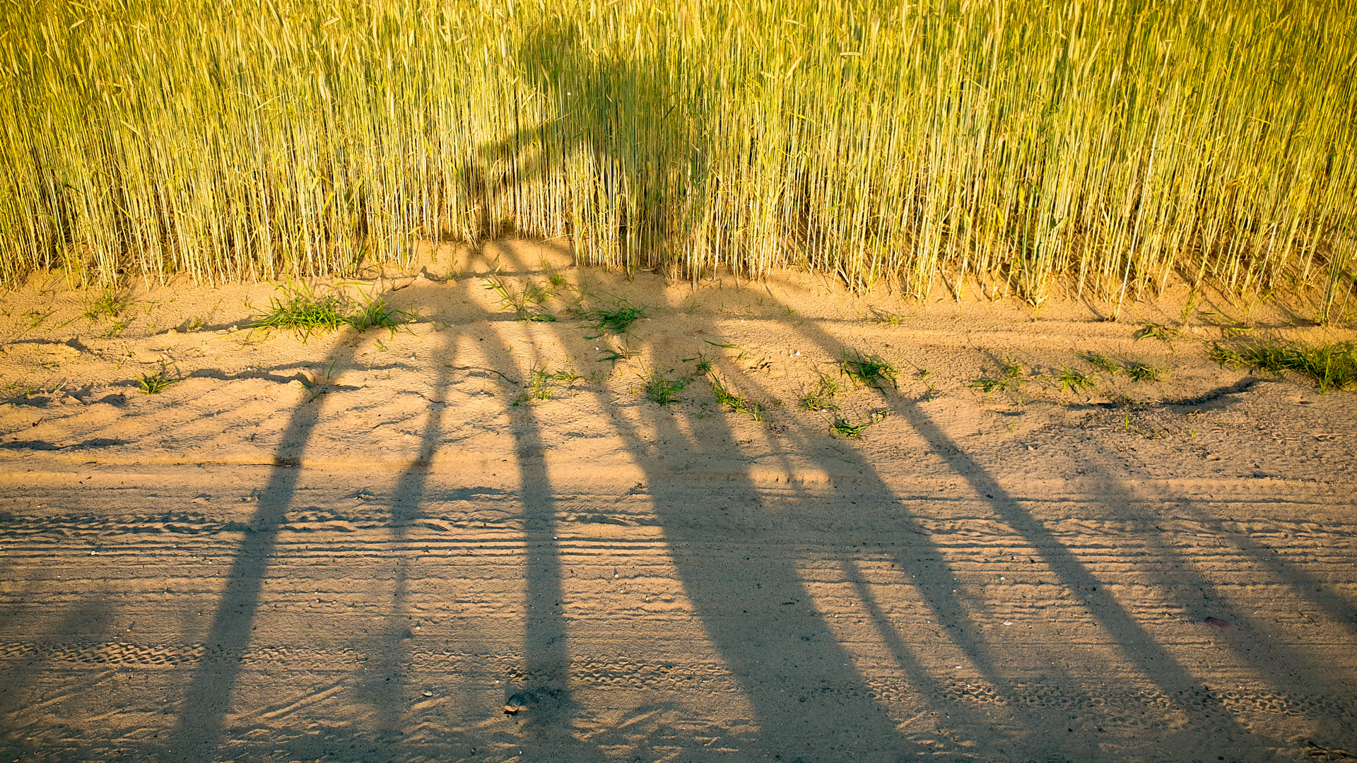 Znamy zwycięzców powiatowego konkursu fotograficznego „Aktywne lato”